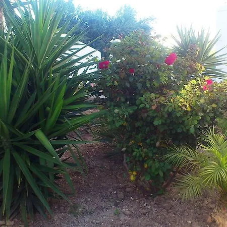 Glaronisia 3* Pollonia