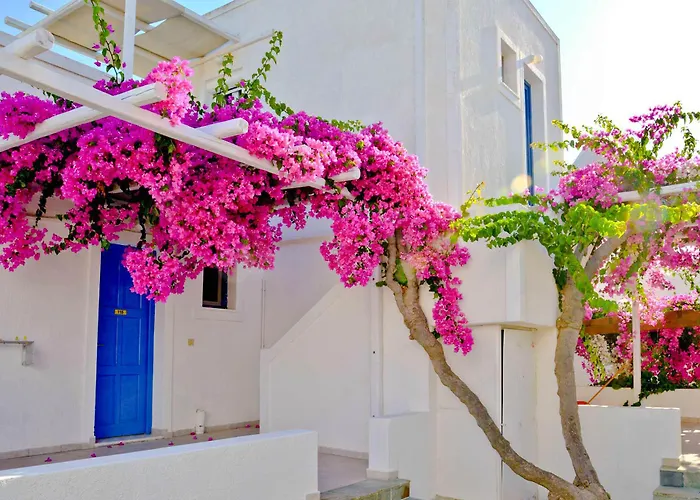 Glaronisia Pollónia