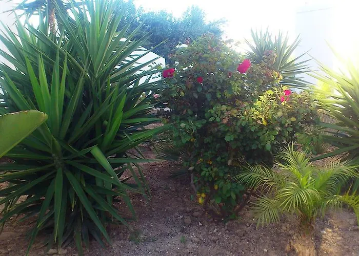 Glaronisia 3* Pollonia